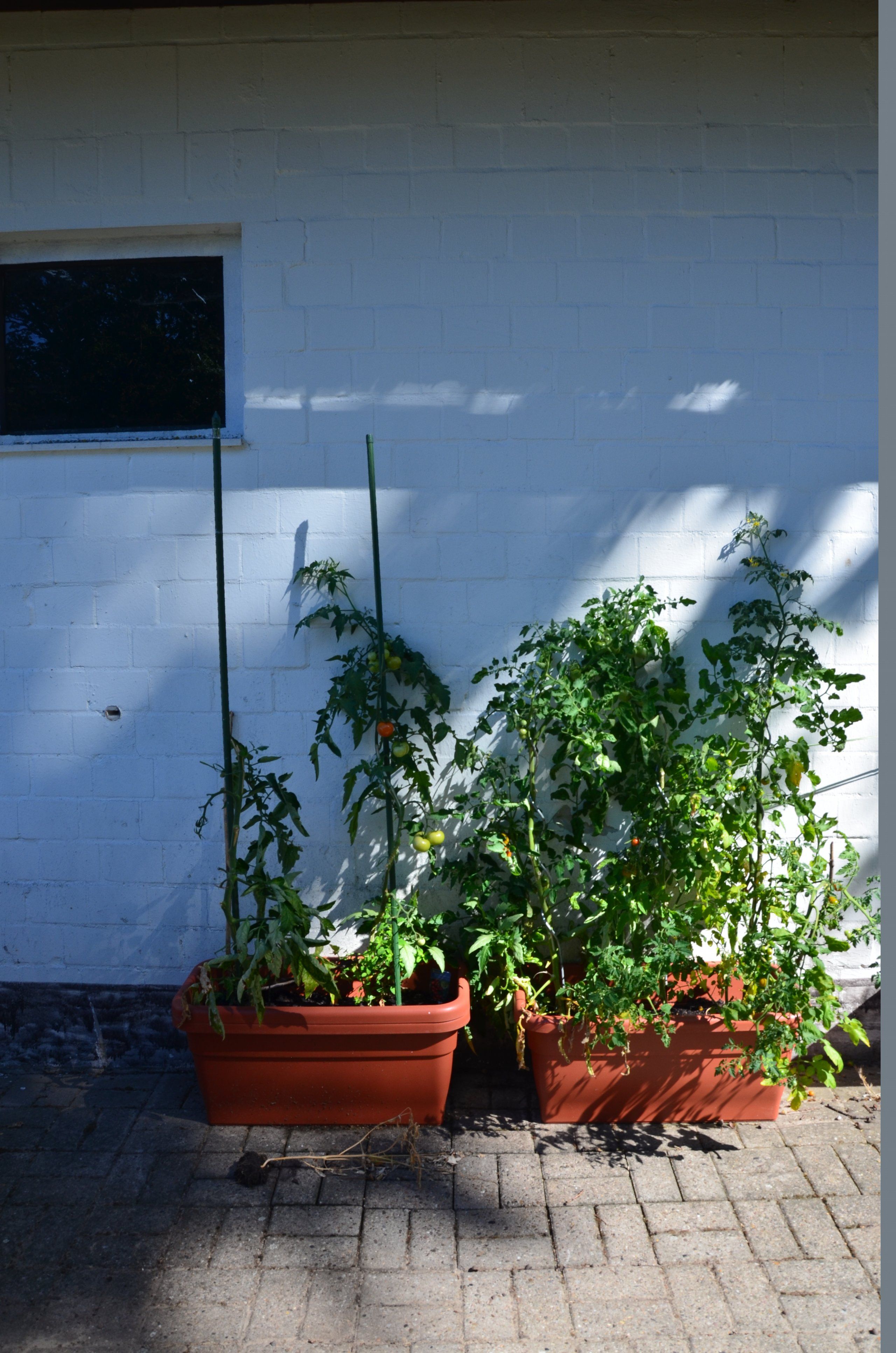 Haus Höperhöfen in Bötersen 